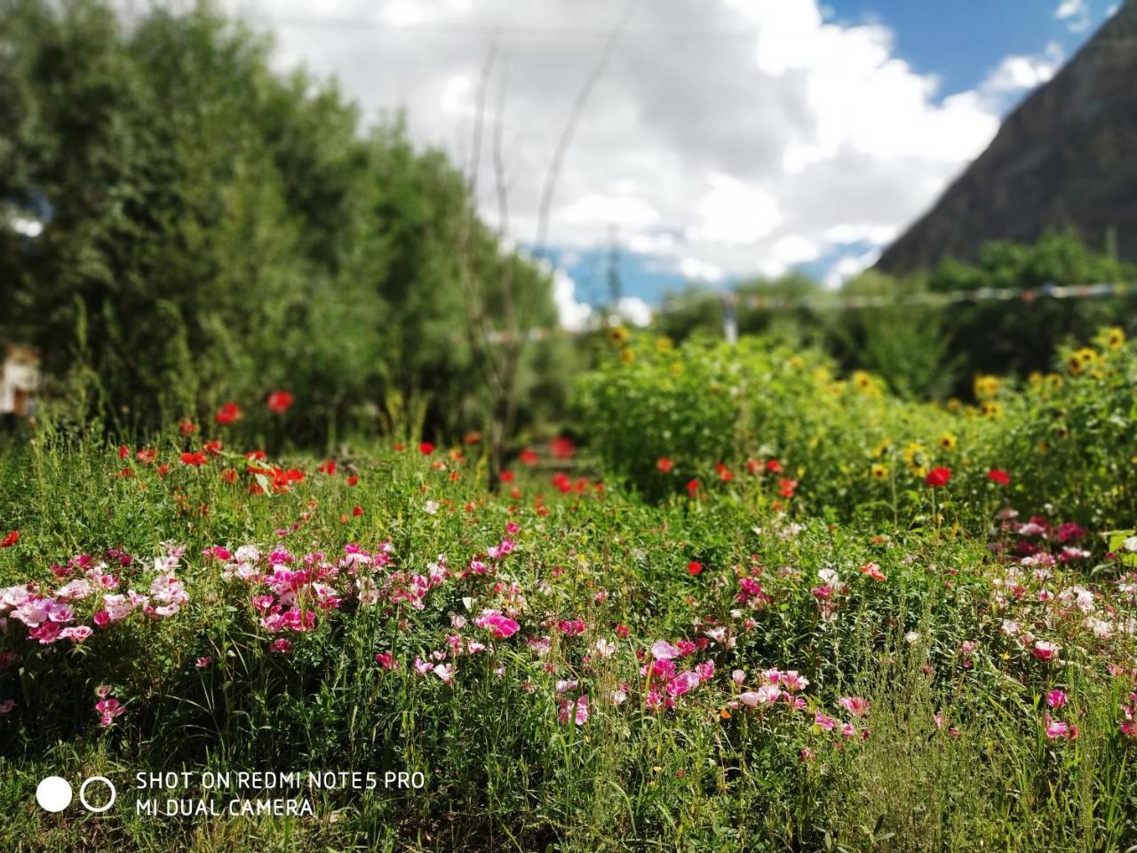 Lotus Eco Resort Hundar Zewnętrze zdjęcie